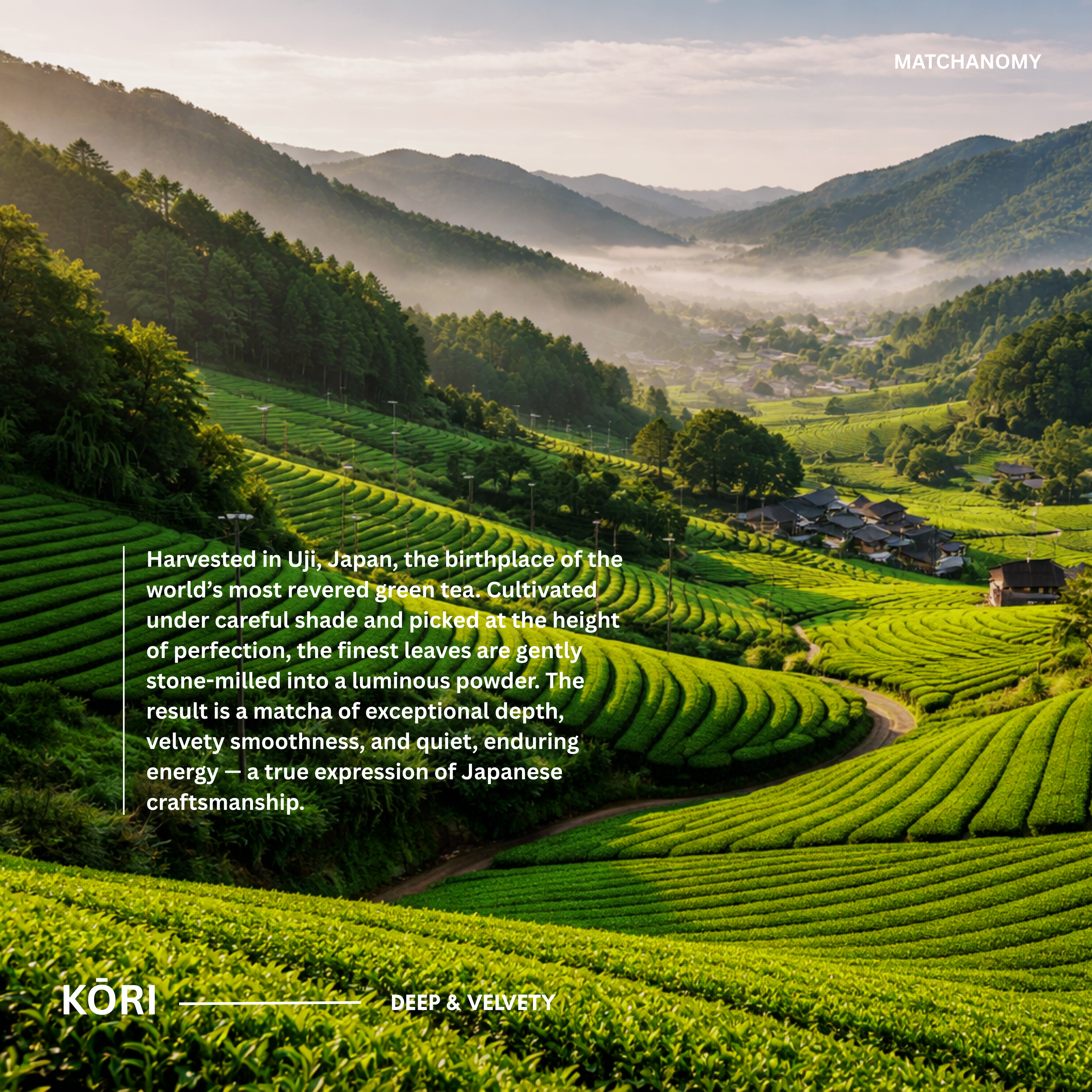 KŌRI matcha